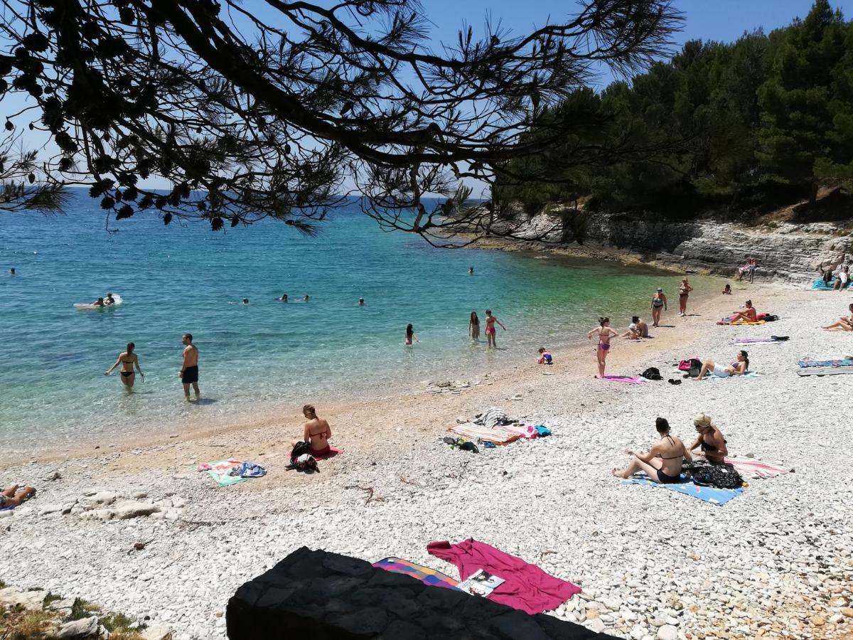 Apartment Maestral Pula Dış mekan fotoğraf