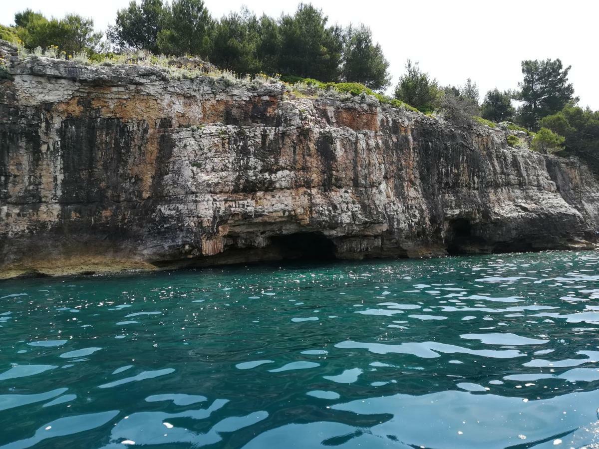 Apartment Maestral Pula Dış mekan fotoğraf